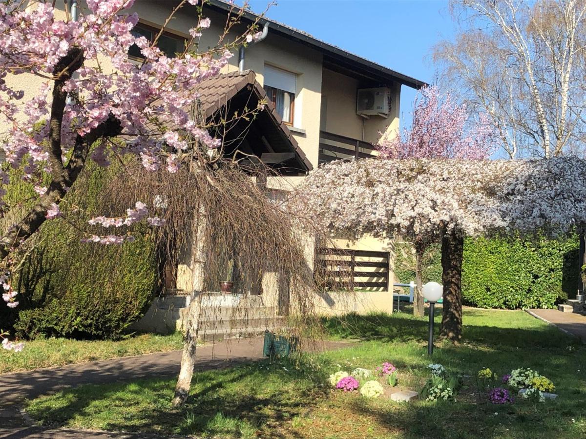 Les Tilleuls Montbeliard Sud Audincourt المظهر الخارجي الصورة